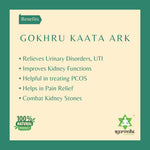 Thumbnail for Ayurvedix Gokhru Kaata Ark - Distacart