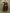 Vishudh Women Floral Embroidered Knitted Velvet Kurta with Trousers & With Dupatta - Distacart