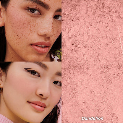 Benefit Cosmetics Dandelion Baby-Pink Brightening Blush - Distacart