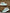 Roadster The Lifestyle Co. Women Sea Green & Grey Colourblocked Sneakers