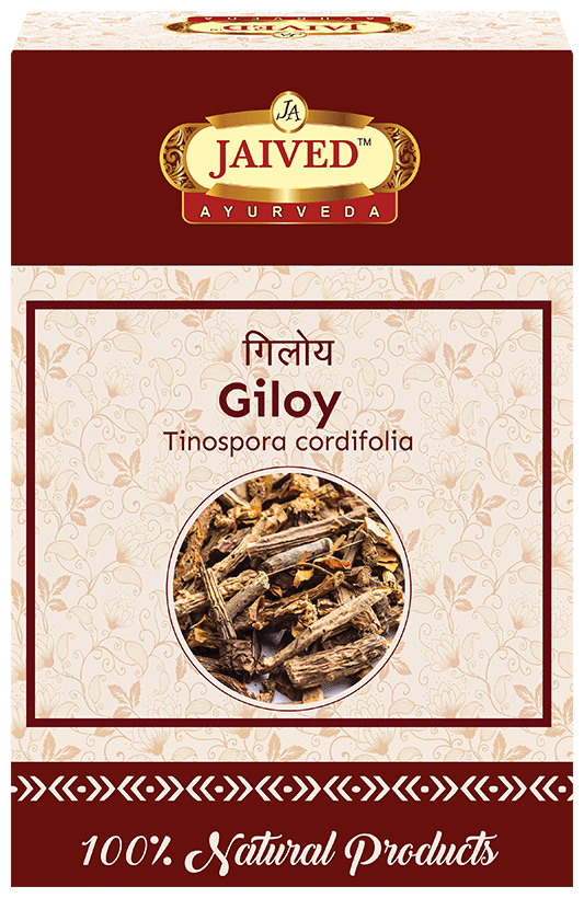 Jaived Ayurveda Giloy | Boosts Immunity, Fights Infections & Enhances Overall Wellness