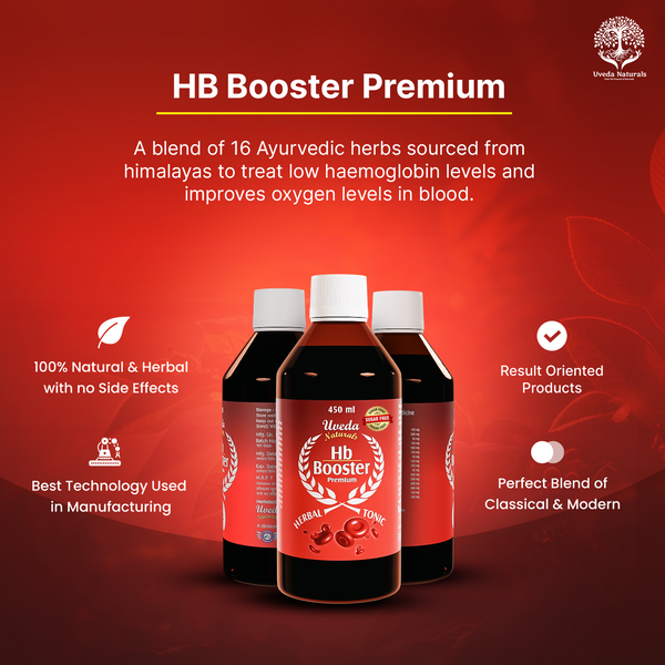 HB_booster_2_1