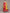 Anubhutee Women Red Ethnic Motifs Printed Thread Work Kurta with Palazzos & With Dupatta - Distacart