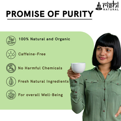 Copy of FENUGREEK LEAF POWDER PROMISE PEORITY IMAGE