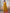 Astita Tissue Silk Yellow Saree