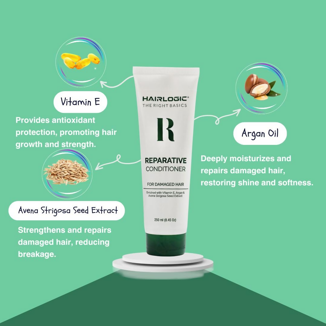 download - 2024-11-26T180658.199