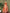 Astita Cotton Orange Saree
