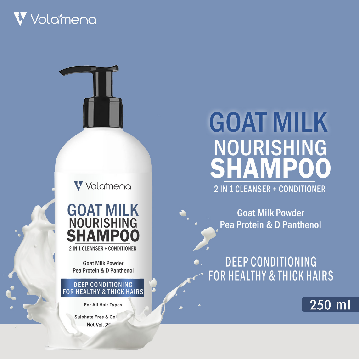 download - 2024-11-23T165709.696