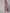 Aks Women Checked Shirt Collar Pure Cotton Kurta With Trousers - Distacart