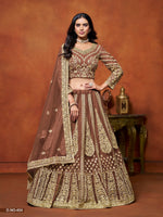 Thumbnail for Anaita Brown Embroidered Net Designer Lehenga With Blouse - Distacart