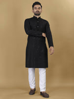 Thumbnail for Anaita Black Embroidered Rayon Straight Kurta - Distacart