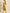 All About You Women Mustard Yellow Floral Embroidered Thread Work Kurta with Trousers - Distacart
