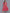 AURELIA Pink Ethnic Motifs A-Line Midi Dress