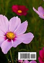 Thumbnail for The Garden of the Prophet