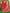 Astita Cotton Red Saree