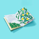 Thumbnail for How the Mango got its Magic: Puffin Chapter Book, Gorgeous new full colour, illustrated chapter book for young readers from ages 5 and up