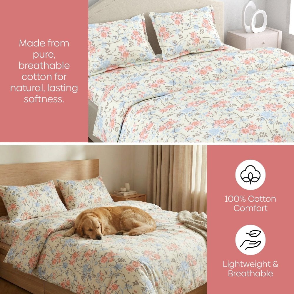 Haus & Kinder Petalhaze 100% Combed Cotton 144 TC Double Flat Bedsheet - Dista