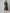 AURELIA Women Green & Golden Printed A-Line Dress - Distacart