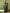 Stylee Lifestyle Teal Silk Blend Zari Saree