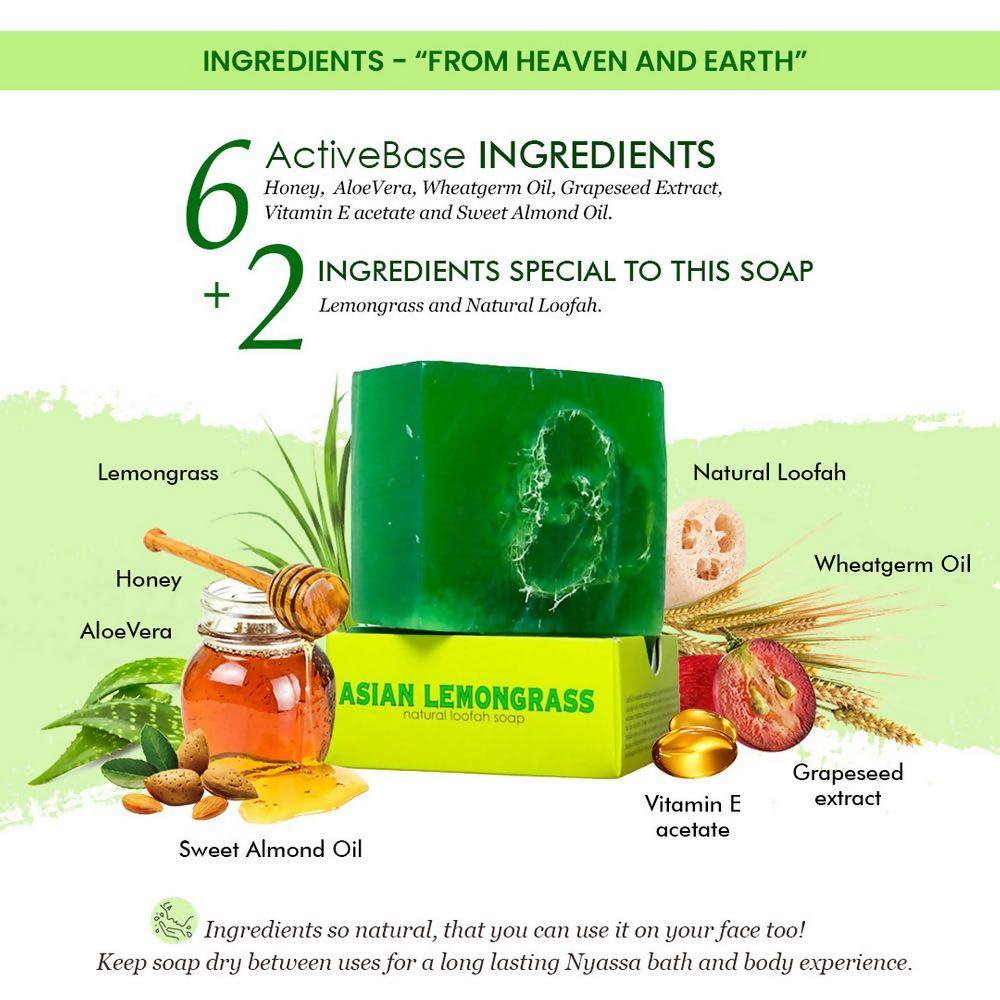 Nyassa Lemongrass Loofah Soap - Dista