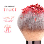 Thumbnail for Swiss Beauty Bake Me Up Blush & Highlighter , 2-In-1 Baked Formula, Long-Lasting - Pink Macaron - Distacart