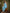 InWeave Cyan Blue Small Check Strappy Co Ord Set