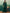 InWeave Dark Green Kurta Palazzo Set