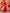 InWeave Red Mandarin Neck High Low Kurta Set