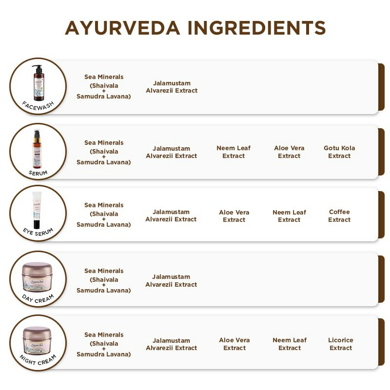 Spawake Ayurveda Rejuvenating Night Cream - Distacart