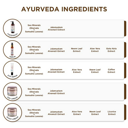 Spawake Ayurveda Rejuvenating Night Cream - Distacart