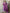 The52 Purple Embroidered Viscose Fabric Straight Kurta, Pant and Dupatta Set