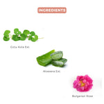 Thumbnail for SANCTUS Facial Spray with Herbs & Rose Water - Distacart