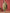 Anouk Ethnic Motifs Printed Round Neck Aari Work Kurta with Trousers & Dupatta