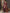 Anouk Woven Design Zari Banarasi Saree - Distacart