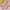 Tehzeeb CreationsEthnic Gold Plating Padmavat Jewelry Kundan Necklace Set for Girls & Women - Distacart
