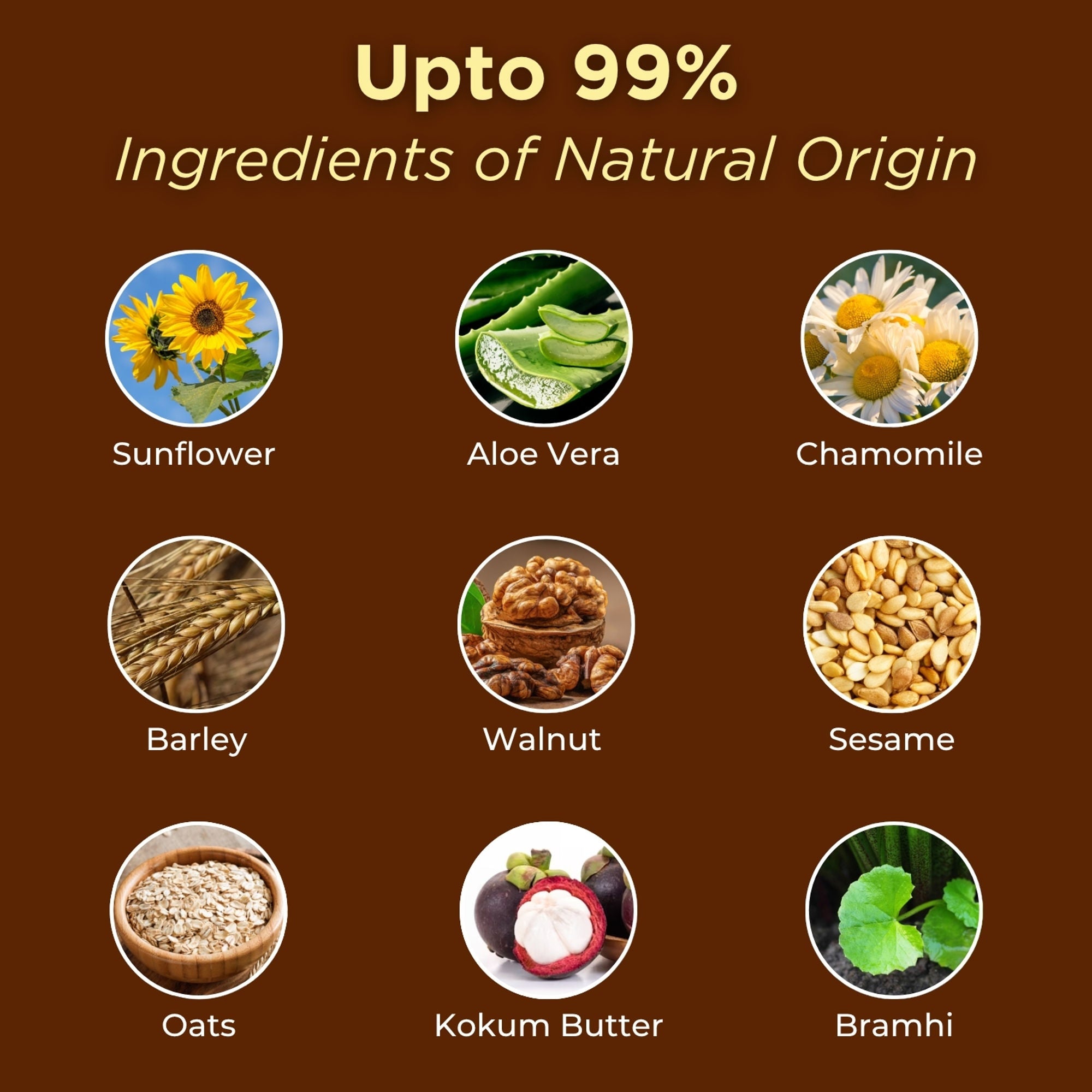 Aroma Treasures Choco Pedro Chocolate Pedicure Kit