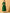 Myshka Women's Green Fit and Flare Party Dress - Distacart