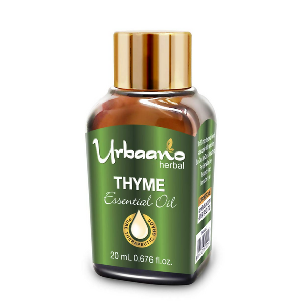 download - 2025-05-07T115604.578