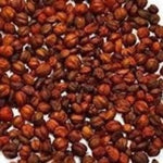 Thumbnail for Nxtgen Ayurveda Malkangani Seeds