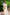 Offwhite Pure Linen Ethnic Motifs Saree with Unstitched Blouse - A2M