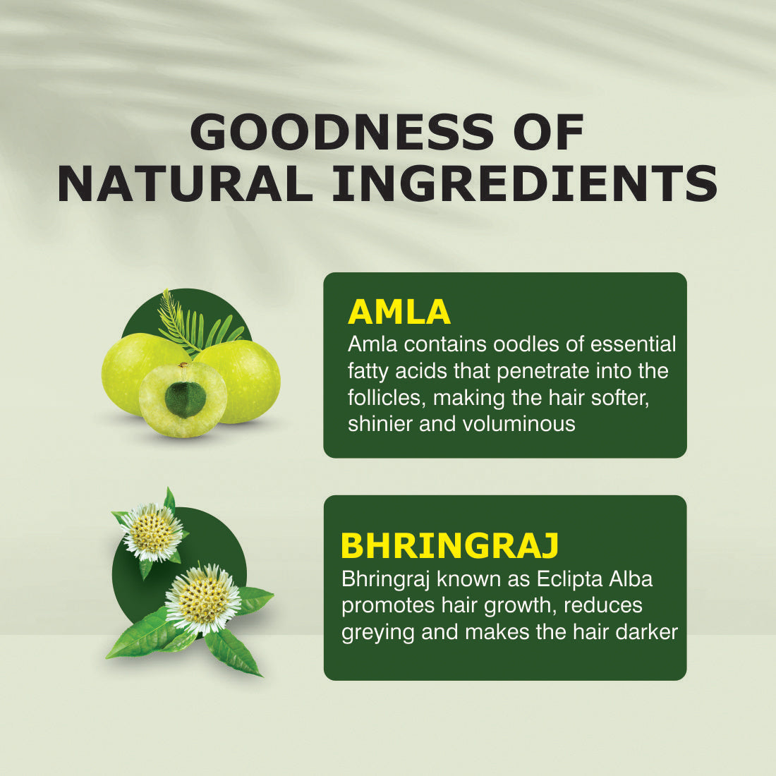 Nuerma Science Amla Bhringraj Hair Oil | Scalp Nourishment & Natural Conditioning - Distacart