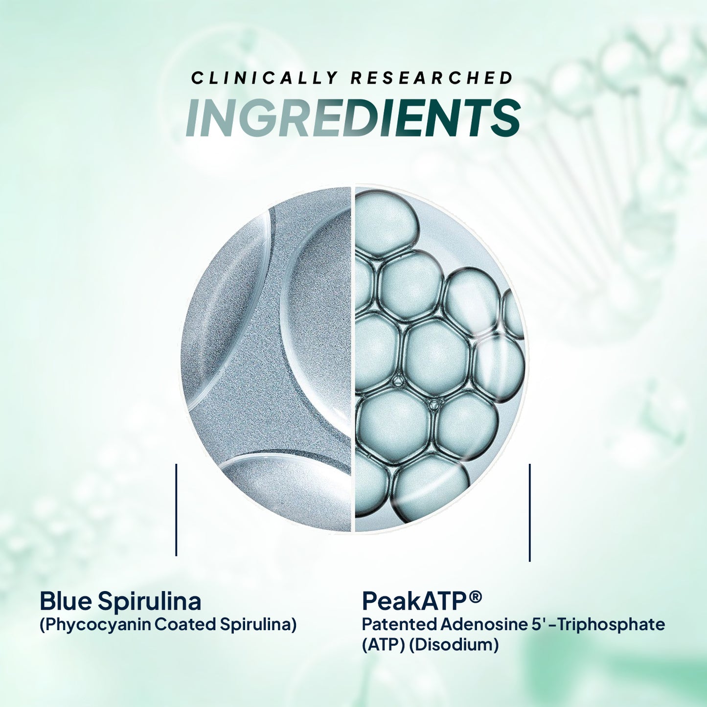 Miduty by Palak Notes Blue Spirulina Tablets - Distacart