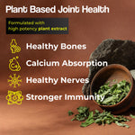 Thumbnail for Health Veda Organics Calcium Magnesium & Zinc Vitamin D3 & B12 Tablets - Distacart
