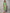 Swasti Women Green & asparagus Floral Printed Floral Kurta