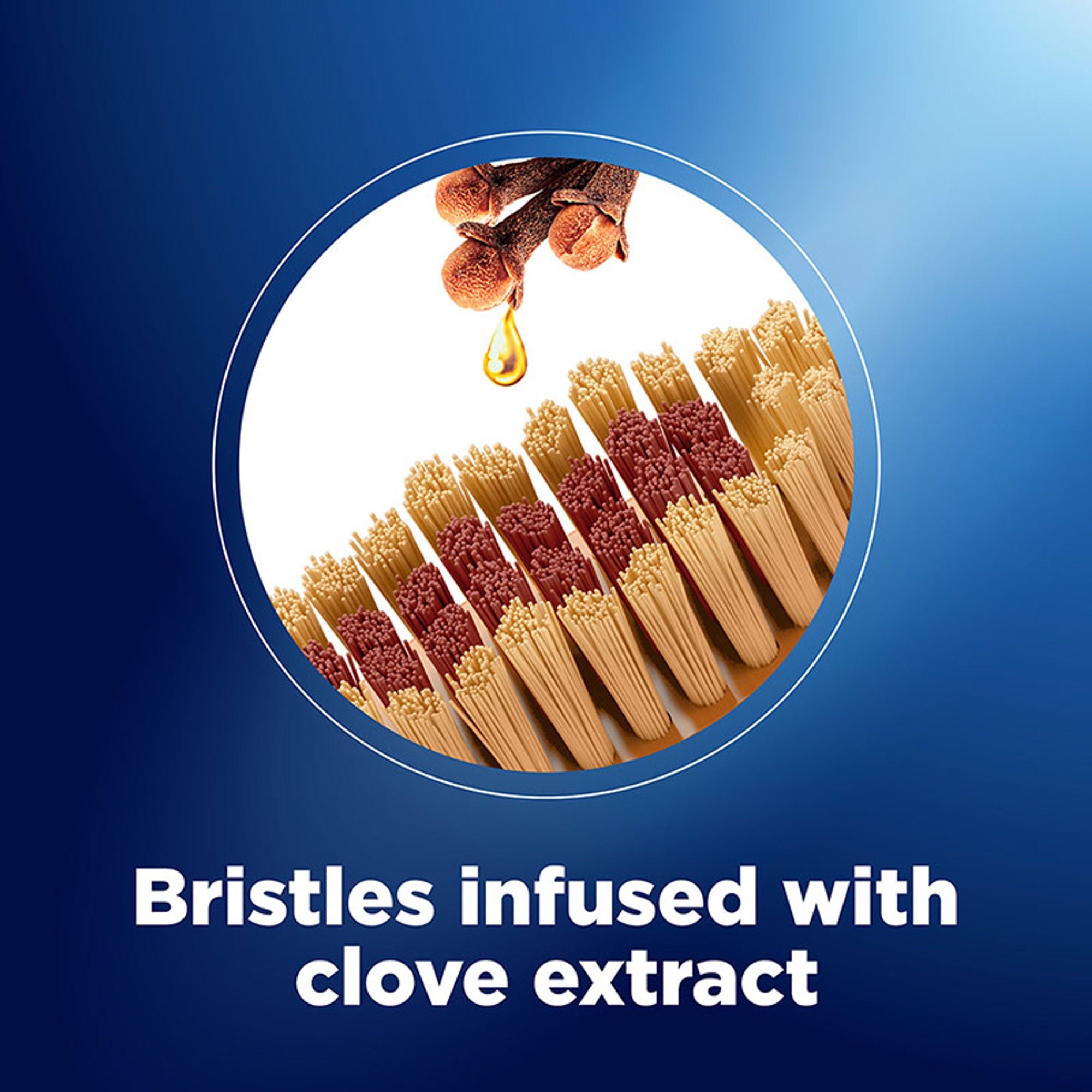 Oral-B Gentle Care Toothbrush with Clove Extract, Extra Soft (Buy 2 Get 1 Free) - Distacart