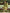 AURELIA Olive Green Ethnic Motifs A-Line Midi Dress