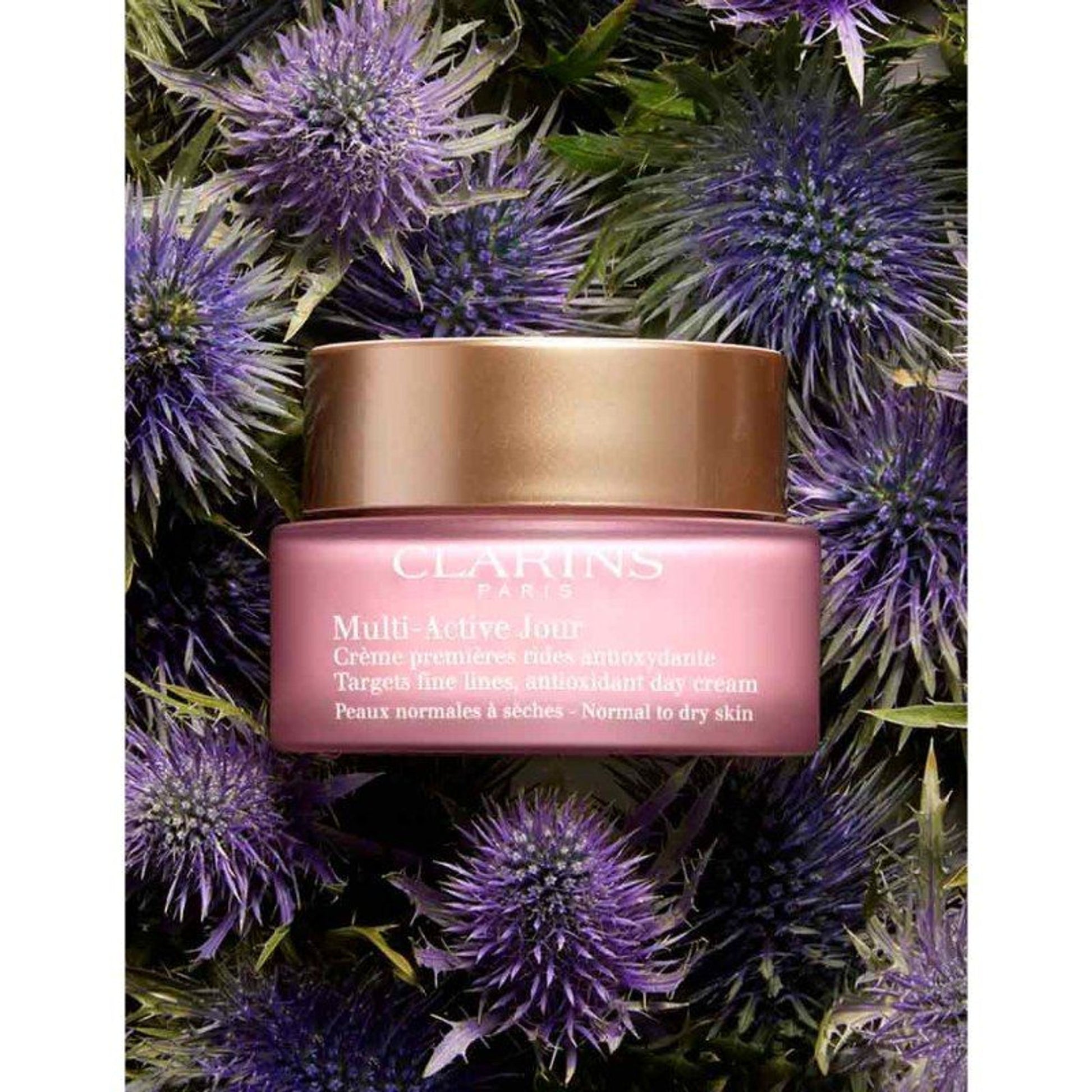 Clarins Multi Active Day Cream Normal To Dry Skin - Distacart