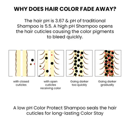 ThriveCo Color Protection Shampoo For Dye & Color Treated Hair - Distacart