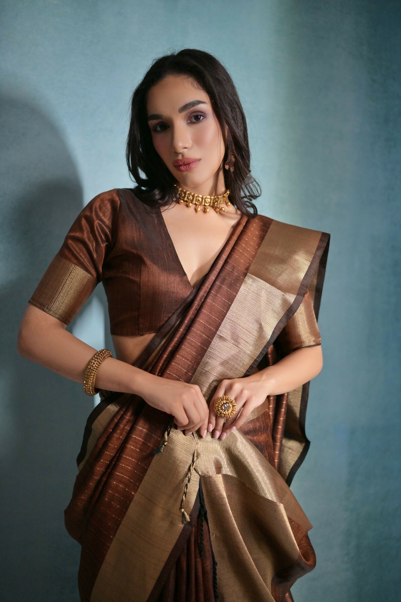 Vishnu Weaves Women's Coffee Raw Silk Zari Woven Saree with Blouse - Distacart