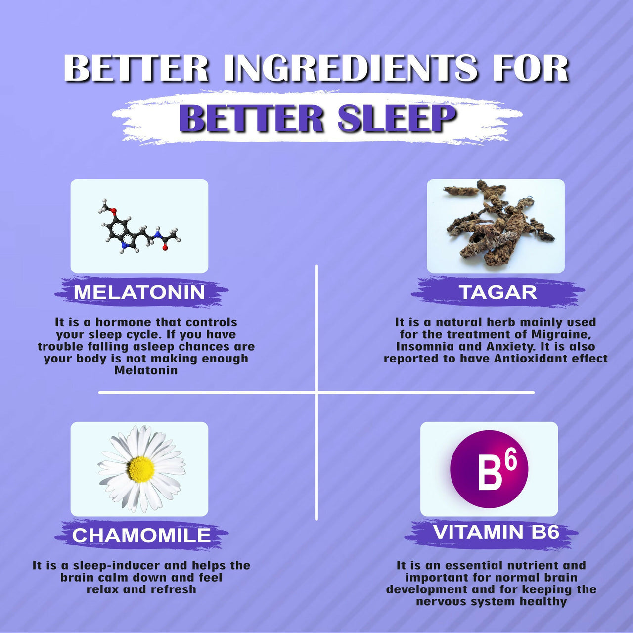 End2End Nutrition Restful Sleep Melatonin Tablets - Distacart